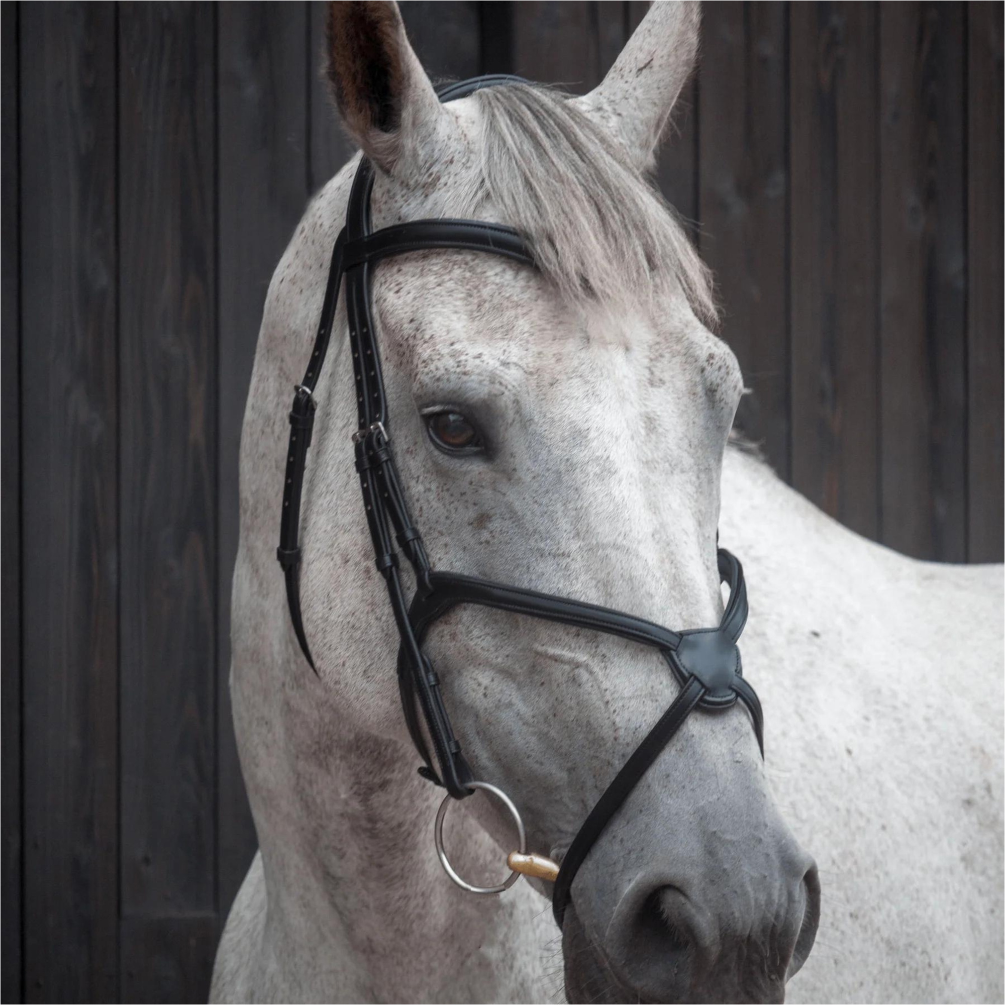 Henry James Grackle Bridle HJ-BR-04 - BLACK